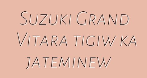 Suzuki Grand Vitara tigiw ka jateminɛw