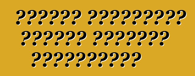 সুজুকি গ্র্যান্ড ভিটারা মালিকের পর্যালোচনা