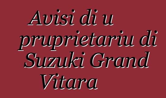 Avisi di u pruprietariu di Suzuki Grand Vitara