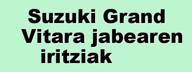 Suzuki Grand Vitara jabearen iritziak