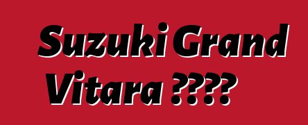Suzuki Grand Vitara 车主评论