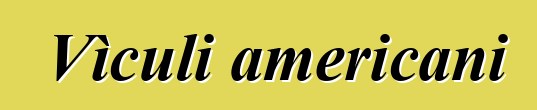 Vìculi americani