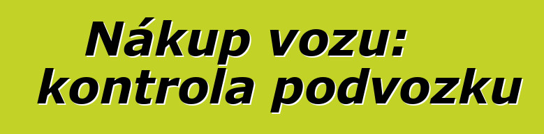 Nákup vozu: kontrola podvozku