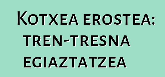 Kotxea erostea: tren-tresna egiaztatzea