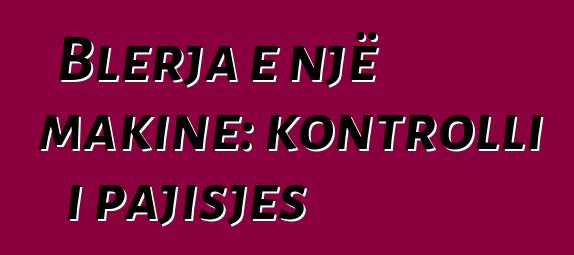 Blerja e një makine: kontrolli i pajisjes