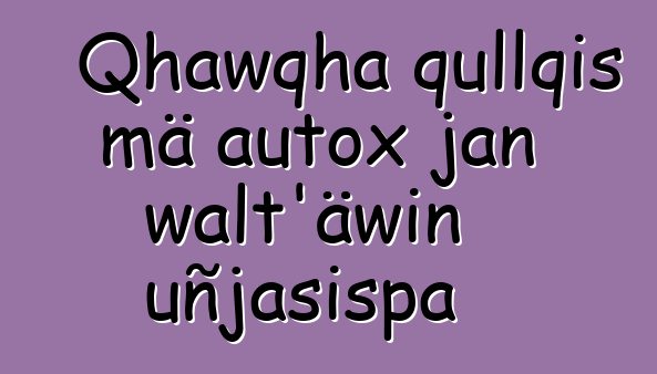 Qhawqha qullqis mä autox jan walt’äwin uñjasispa