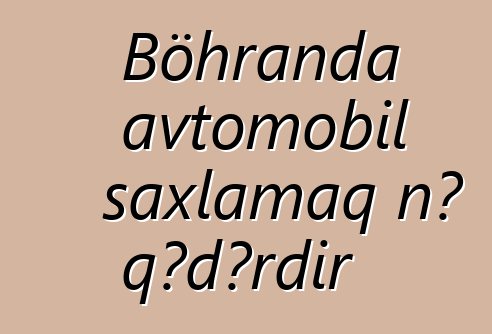 Böhranda avtomobil saxlamaq nə qədərdir