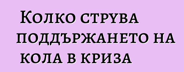 Колко струва поддържането на кола в криза