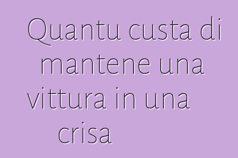 Quantu custa di mantene una vittura in una crisa