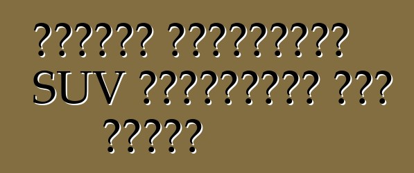 লিঙ্কন কমপ্যাক্ট SUV সেগমেন্টে দখল করেছে