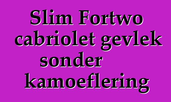 Slim Fortwo cabriolet gevlek sonder kamoeflering