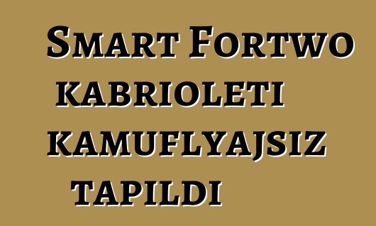 Smart Fortwo kabrioleti kamuflyajsız tapıldı