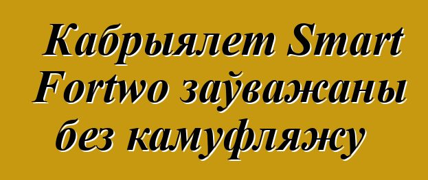 Кабрыялет Smart Fortwo заўважаны без камуфляжу