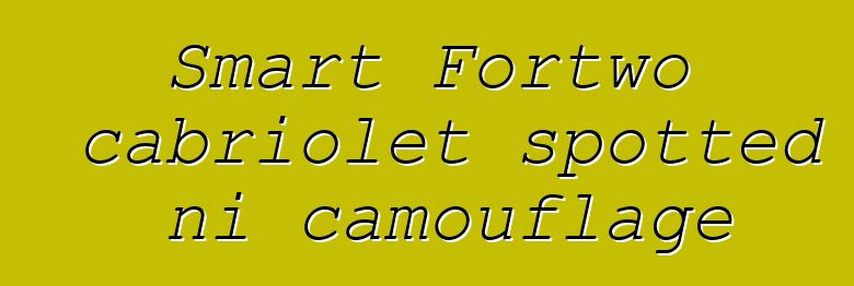 Smart Fortwo cabriolet spotted ni camouflage