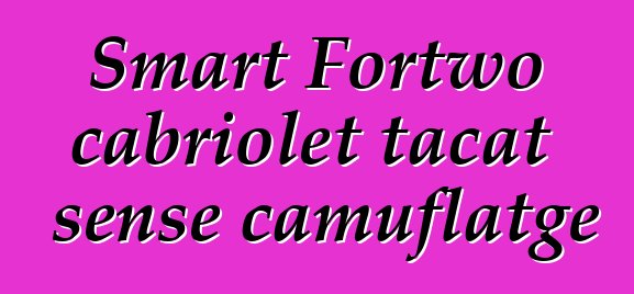 Smart Fortwo cabriolet tacat sense camuflatge