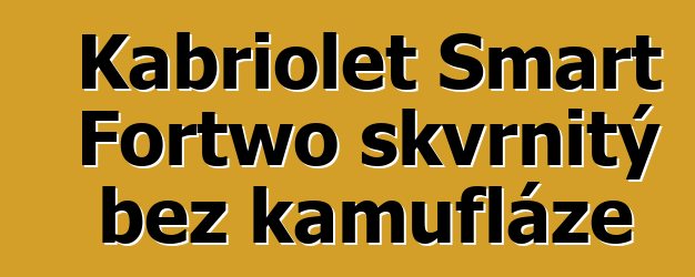 Kabriolet Smart Fortwo skvrnitý bez kamufláže