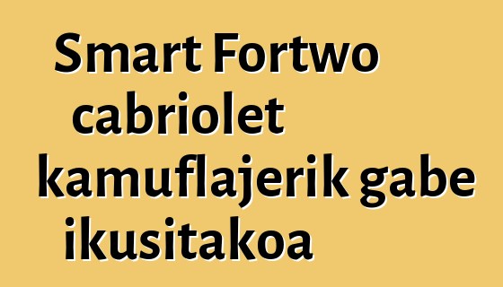 Smart Fortwo cabriolet kamuflajerik gabe ikusitakoa
