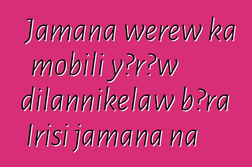 Jamana wɛrɛw ka mobili yɔrɔw dilannikɛlaw bɔra Irisi jamana na