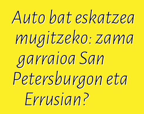 Auto bat eskatzea mugitzeko: zama garraioa San Petersburgon eta Errusian?