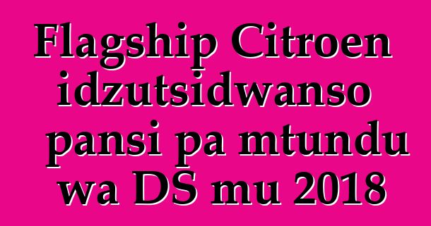 Flagship Citroen idzutsidwanso pansi pa mtundu wa DS mu 2018