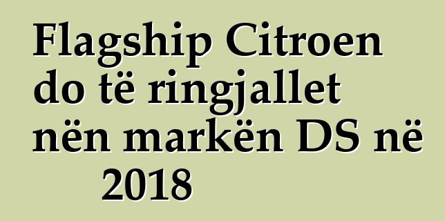 Flagship Citroen do të ringjallet nën markën DS në 2018