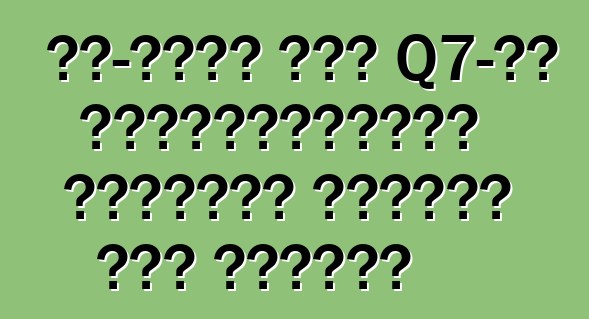 টপ-এন্ড অডি Q7-এর প্রিমিয়ারের তারিখের নামকরণ করা হয়েছে