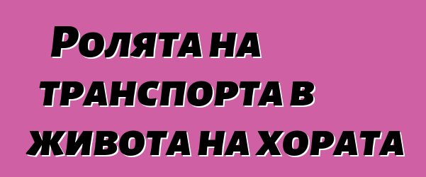 Ролята на транспорта в живота на хората