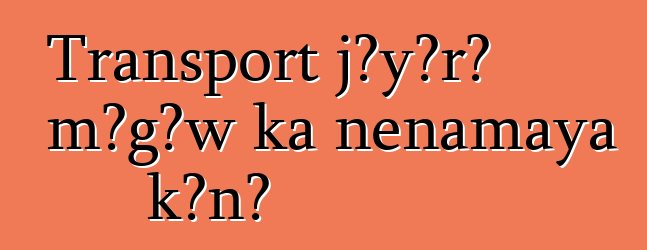 Transport jɔyɔrɔ mɔgɔw ka ɲɛnamaya kɔnɔ