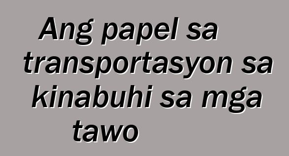 Ang papel sa transportasyon sa kinabuhi sa mga tawo