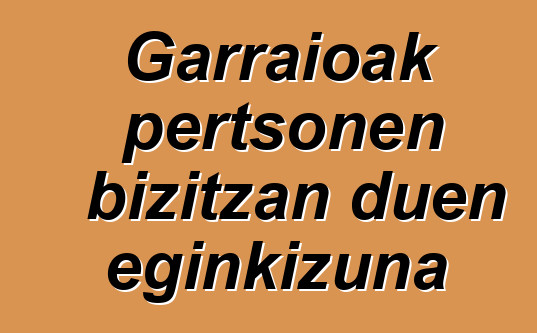 Garraioak pertsonen bizitzan duen eginkizuna