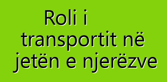 Roli i transportit në jetën e njerëzve