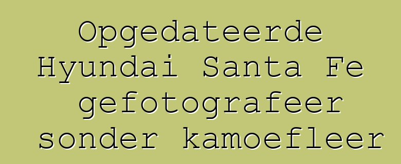 Opgedateerde Hyundai Santa Fe gefotografeer sonder kamoefleer