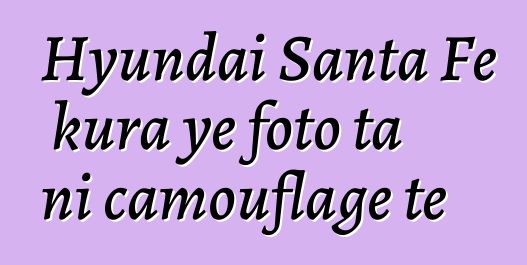Hyundai Santa Fe kura ye foto ta ni camouflage tɛ