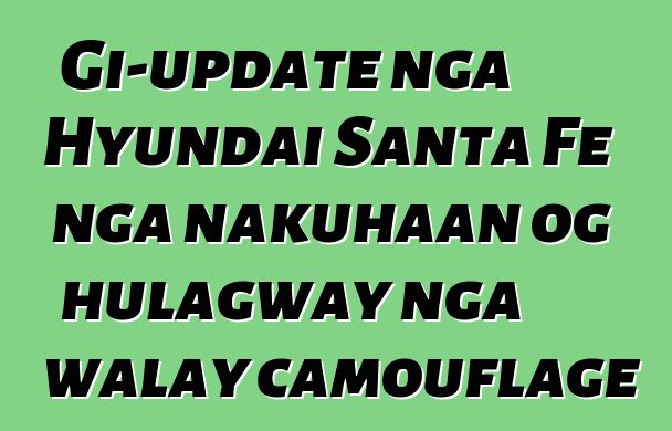 Gi-update nga Hyundai Santa Fe nga nakuhaan og hulagway nga walay camouflage