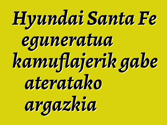 Hyundai Santa Fe eguneratua kamuflajerik gabe ateratako argazkia