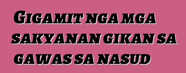 Gigamit nga mga sakyanan gikan sa gawas sa nasud