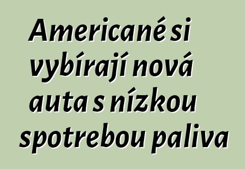 Američané si vybírají nová auta s nízkou spotřebou paliva