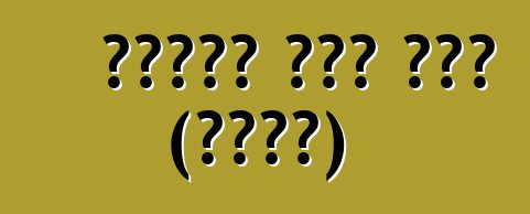 ማንሃይም አውቶ ጨረታ (አሜሪካ)