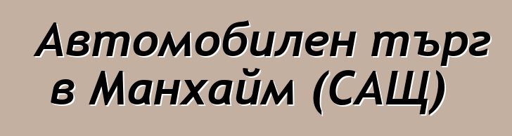 Автомобилен търг в Манхайм (САЩ)