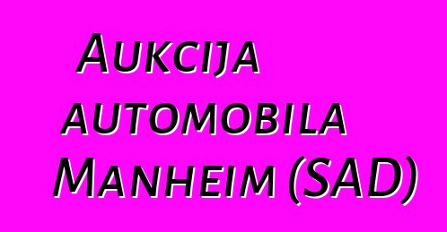 Aukcija automobila Manheim (SAD)