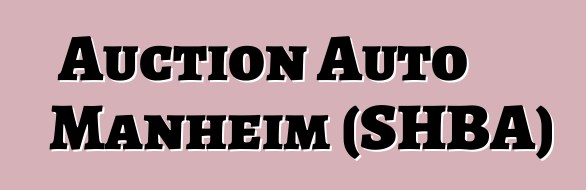 Auction Auto Manheim (SHBA)