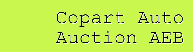 Copart Auto Auction AEB