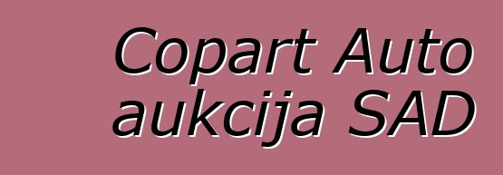 Copart Auto aukcija SAD