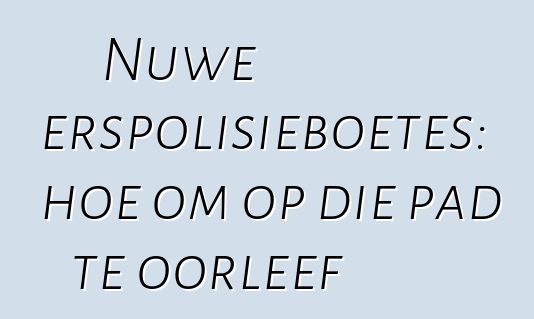 Nuwe verkeerspolisieboetes: hoe om op die pad te oorleef