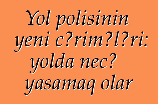 Yol polisinin yeni cərimələri: yolda necə yaşamaq olar