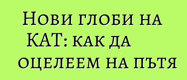 Нови глоби на КАТ: как да оцелеем на пътя