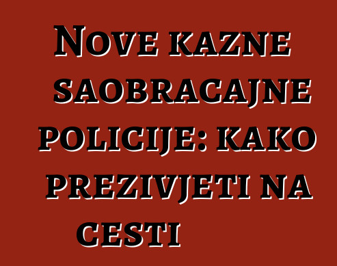 Nove kazne saobraćajne policije: kako preživjeti na cesti
