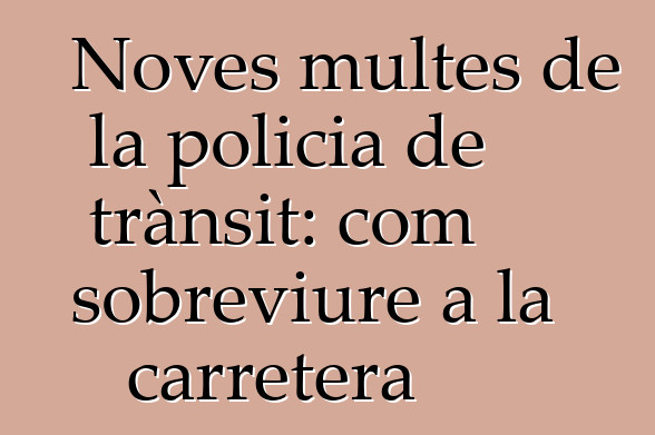 Noves multes de la policia de trànsit: com sobreviure a la carretera