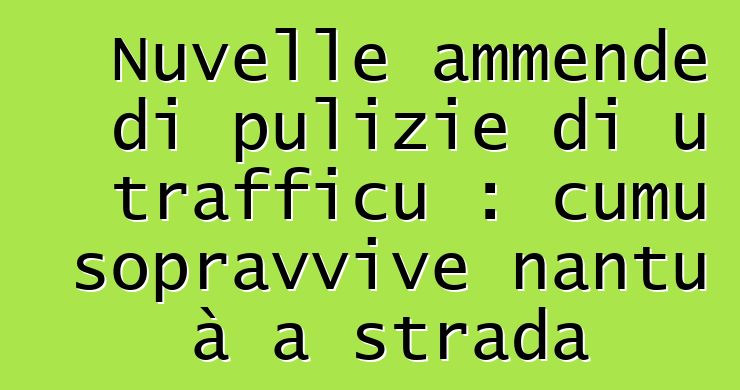 Nuvelle ammende di pulizie di u trafficu : cumu sopravvive nantu à a strada