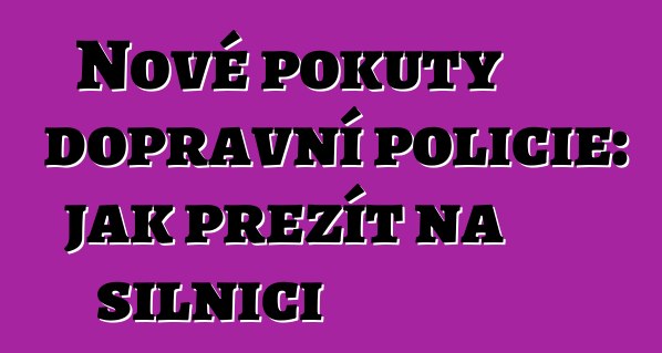 Nové pokuty dopravní policie: jak přežít na silnici